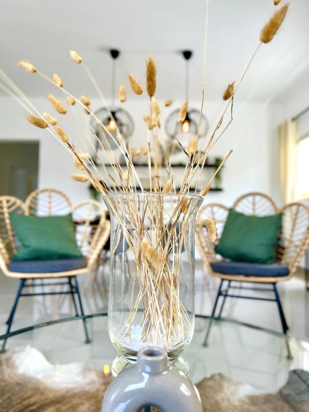 Ambar Luxurious Condo At Caleta ラ・ロマーナ エクステリア 写真